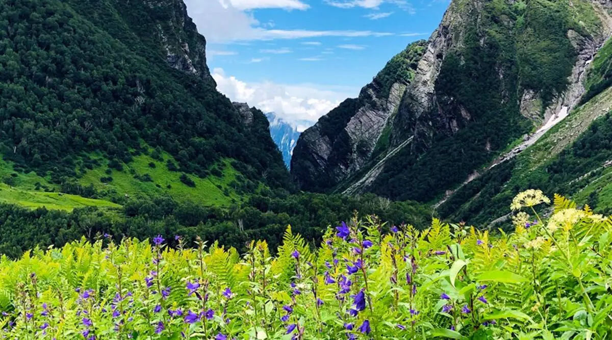 Valley-of-flowers