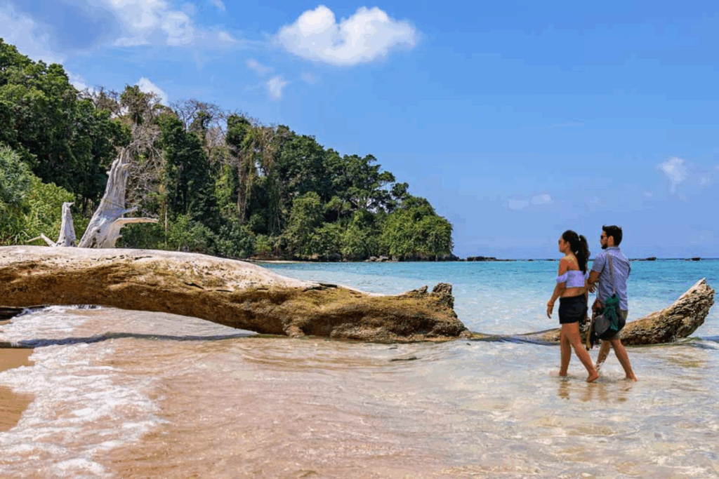 Luxury Andaman Tour Package 5N-6D